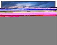 ThinkVision T24d